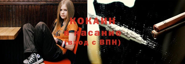 дурь Дмитриев