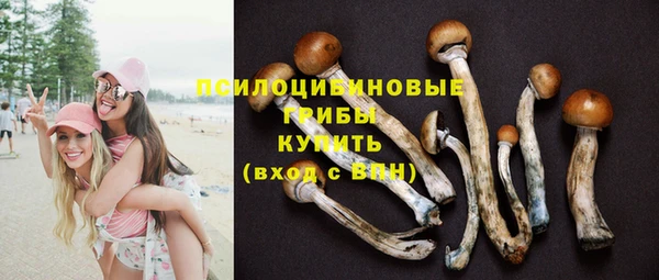 СК Алзамай